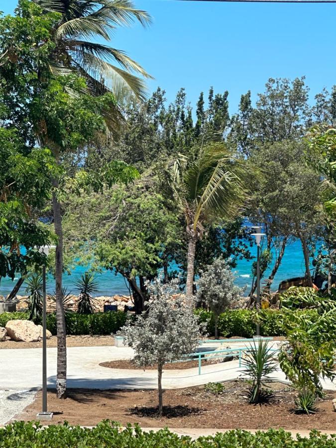 Appartement Whitehouse Boulevard, Close To Mambo Beach And City Centre à Willemstad Extérieur photo