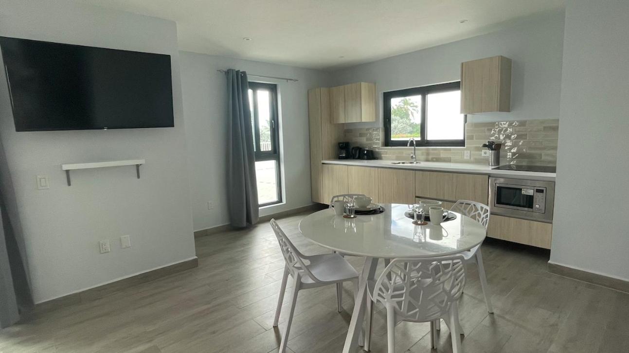 Appartement Whitehouse Boulevard, Close To Mambo Beach And City Centre à Willemstad Extérieur photo